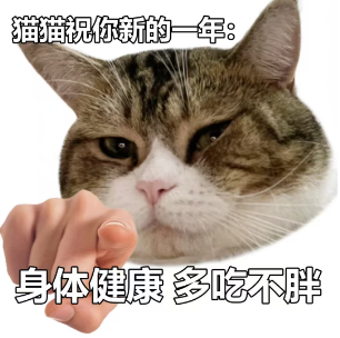 202501261018429826.Png